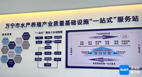 萬寧市水產養殖產業質量基礎設施一站式服務站揭牌成立，開啟證照代辦服務新篇章